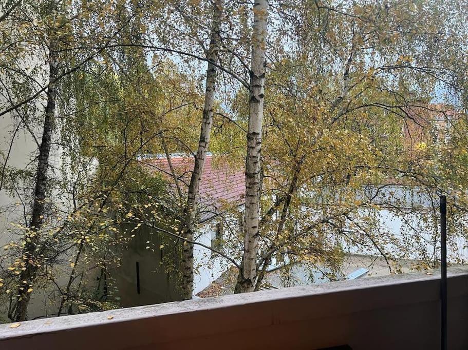 Gemuetliche In Lage * Hanovre